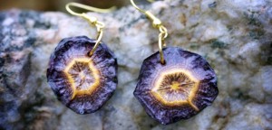 Earrings made of plant materials.