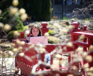 Framed by emerging spring blooms at UW-Madison's Allen Centennial Garden, freshman Rachel Smaby enjoys the area's return to more seasonal temperatures during a break among the botanical exhibits. Photo by John Hart, Wisconsin State Journal