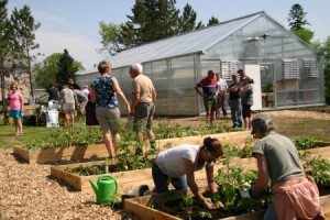 An open house at the greenhouse.