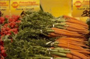 Carrots are the richest crop source of vitamin A in the American diet. Vitamin A is an essential nutrient. PHOTO COURTESY OF PHIL SIMON, UW–MADISON, USDA-ARS