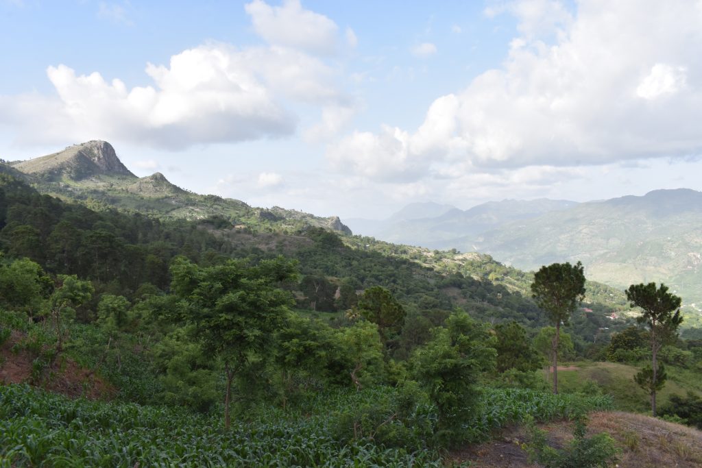 Mountainous terrain covered in greenery stretches beneath a bright blue sky.