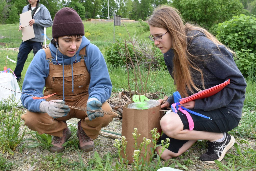 Two people sit outside and inspect a tree sapling.