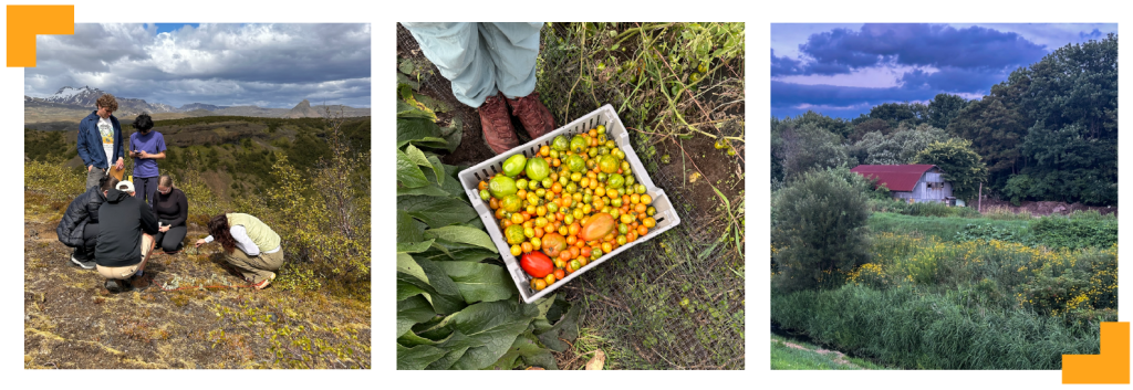 Three images. One of a group of people collecting a soil sample, one of a bucket of tomatoes, and one of a farm at dusk.