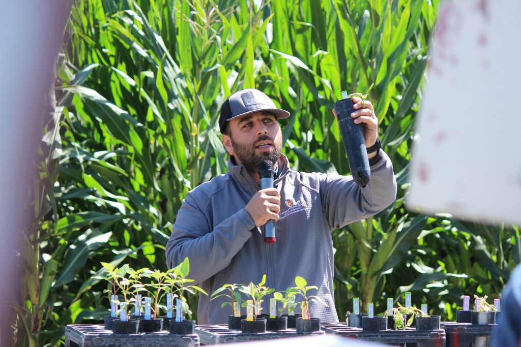 A person holds up a small plant and speaks into a microphone in a field.