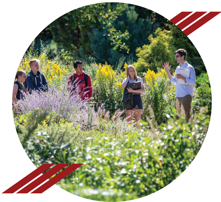 Circular image of a class taking place outside in a garden.