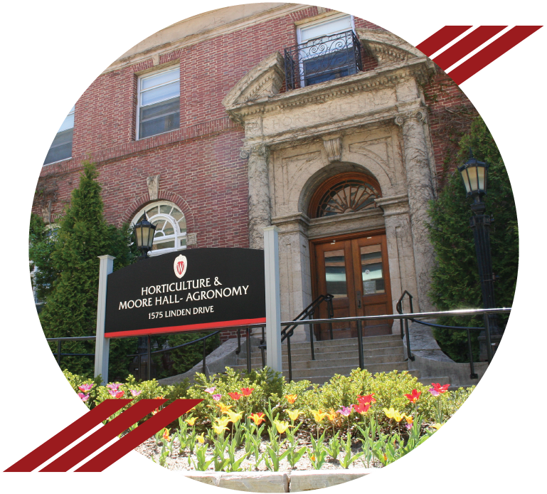 Front of Moore Hall with red graphic illustrations.