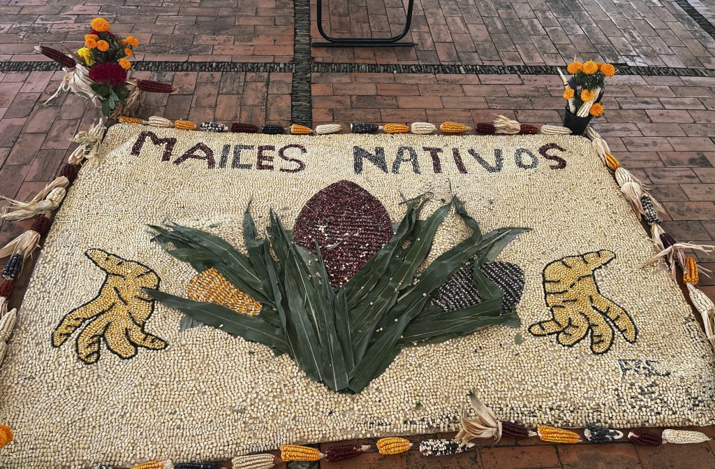 Kernels, cobs, and husks of maize create an art piece that says "Maices Navitos."