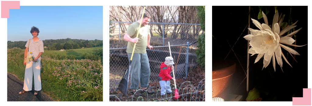 A collage of three images. Mason is in a field of flowers on the left. In the middle, he his a raking. On the furthest right, a white flower blossoms.