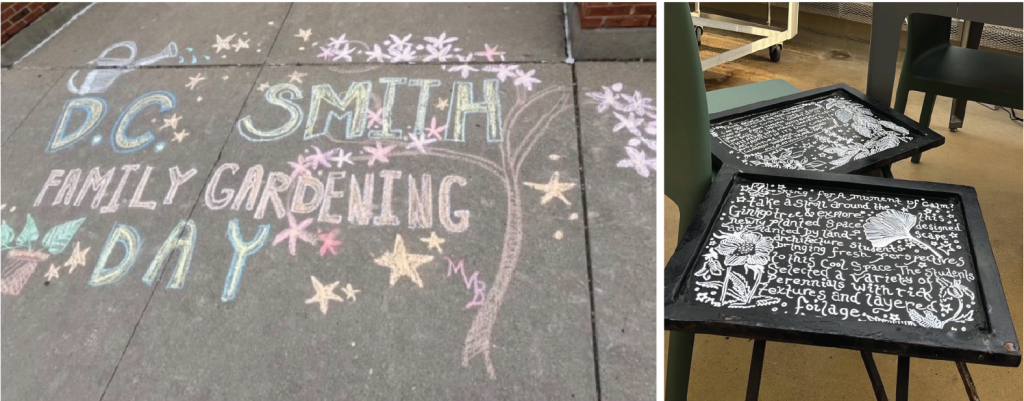 Chalk drawing for Family Gardening Day and blackboard drawing for Allen Centennial Garden.