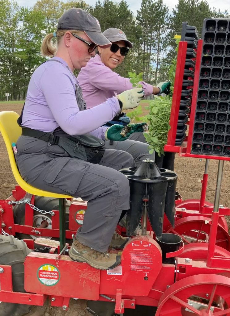 Two people sit on a machine and work with seedlings as the machine plants the seedlings.