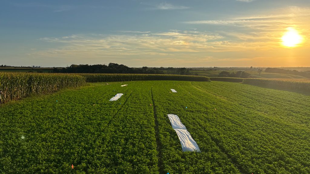 A field stretches as the sun sets.